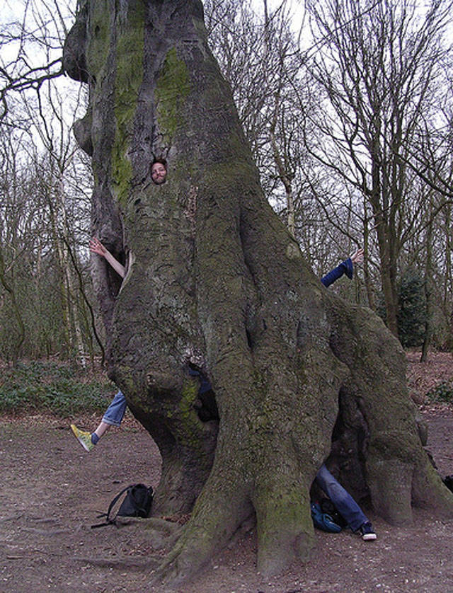 morning picdump 51 pics 6.html - 51 HD Photos | Premium Gallery 2018