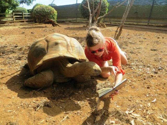 daily picdump 96 pics 13.html - 96 HD Photos | Premium Gallery 2018