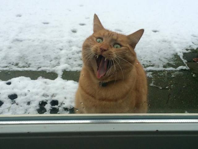 daily picdump 96 pics 13.html - 96 HD Photos | Premium Gallery 2018