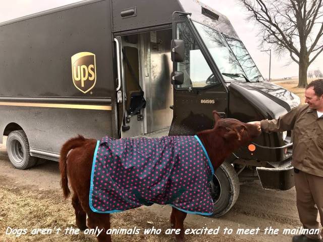 daily picdump 96 pics 13.html - 96 HD Photos | Premium Gallery 2018