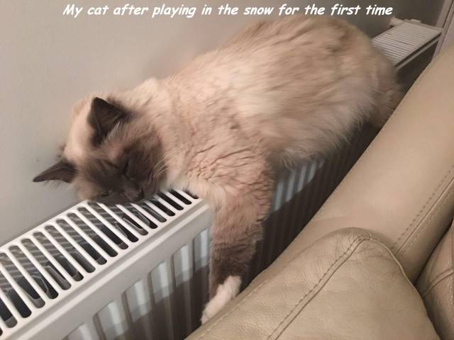 daily picdump 96 pics 13.html - 96 HD Photos | Premium Gallery 2018