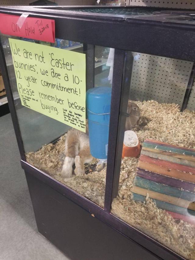 daily picdump 96 pics 13.html - 96 HD Photos | Premium Gallery 2018