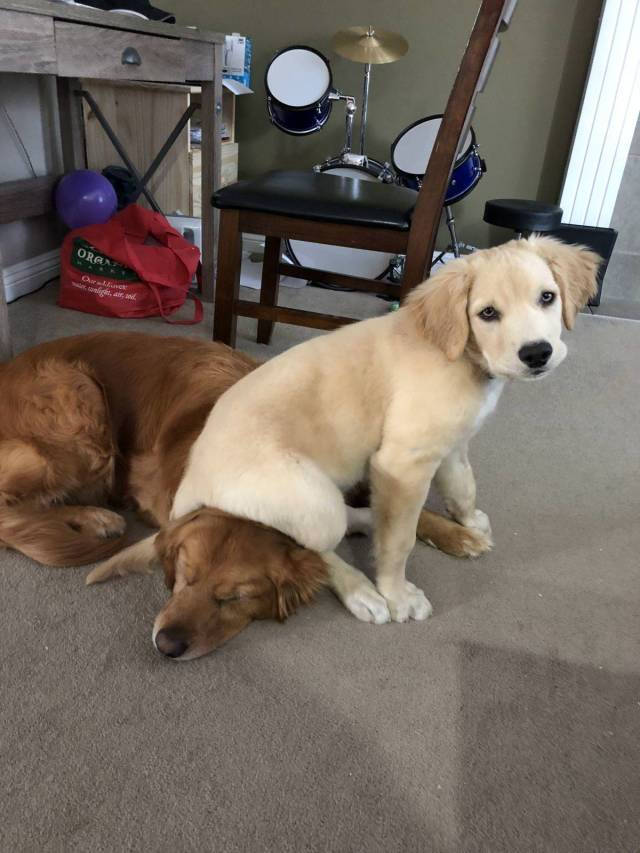 daily picdump 96 pics 13.html - 96 HD Photos | Premium Gallery 2018