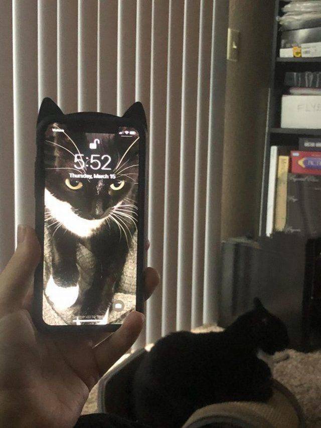 daily picdump 96 pics 13.html - 96 HD Photos | Premium Gallery 2018