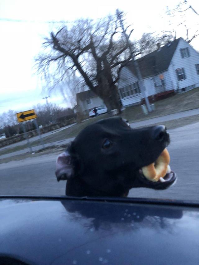 daily picdump 96 pics 13.html - 96 HD Photos | Premium Gallery 2018