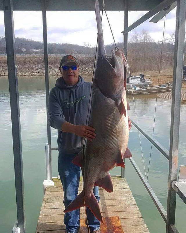 daily picdump 96 pics 13.html - 96 HD Photos | Premium Gallery 2018