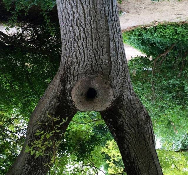 Dirty Mind, Come Here!