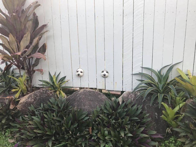 morning picdump 55 pics 20.html - 55 HD Photos | Premium Gallery 2018