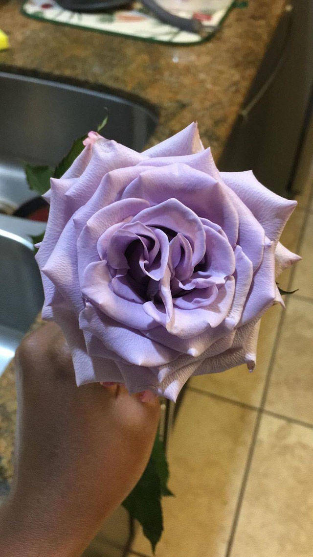 morning picdump 55 pics 20.html - 55 HD Photos | Premium Gallery 2018