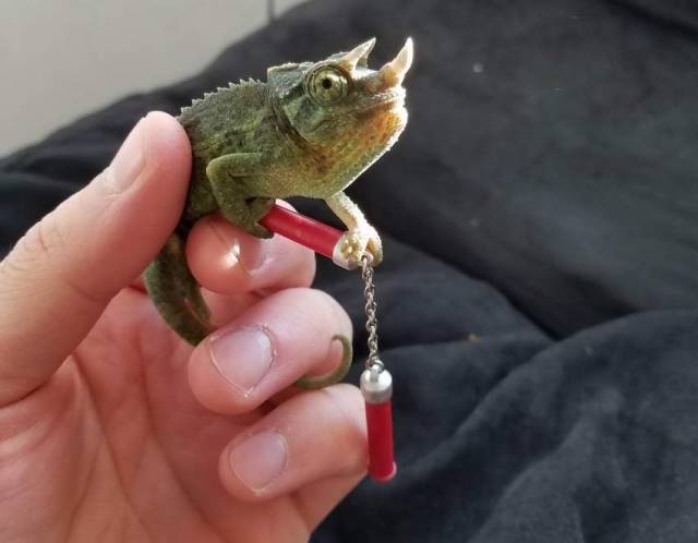 daily picdump 108 pics 4.html - 108 HD Photos | Premium Gallery 2018