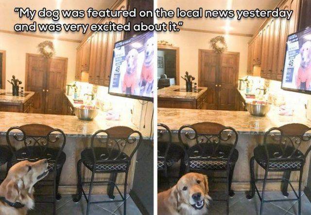 daily picdump 108 pics 4.html - 108 HD Photos | Premium Gallery 2018