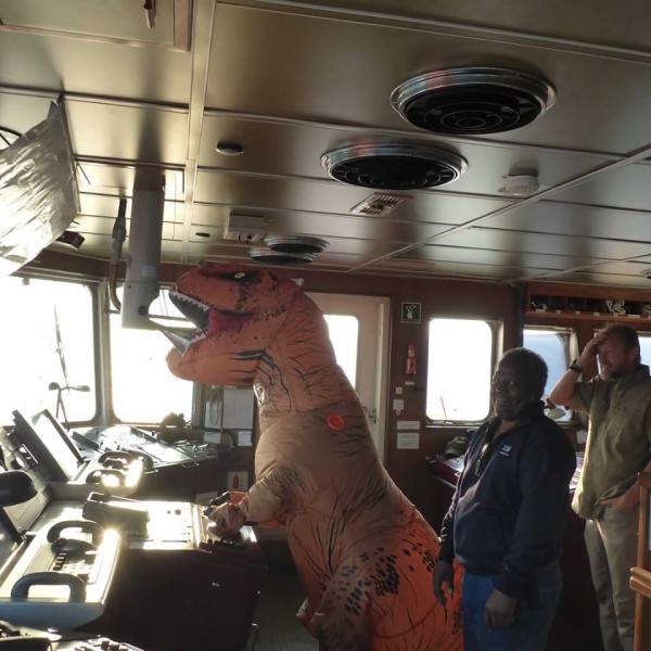 daily picdump 108 pics 4.html - 108 HD Photos | Premium Gallery 2018