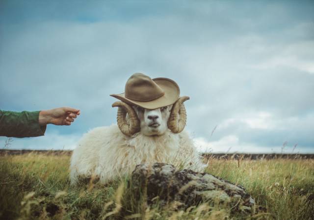 daily picdump 108 pics 4.html - 108 HD Photos | Premium Gallery 2018