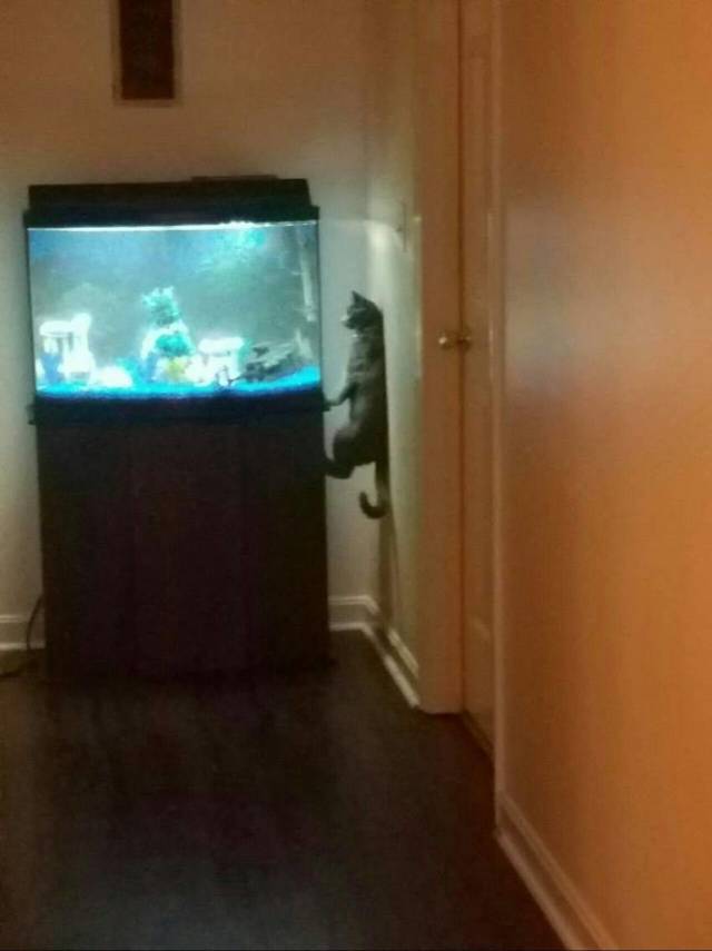 daily picdump 108 pics 4.html - 108 HD Photos | Premium Gallery 2018