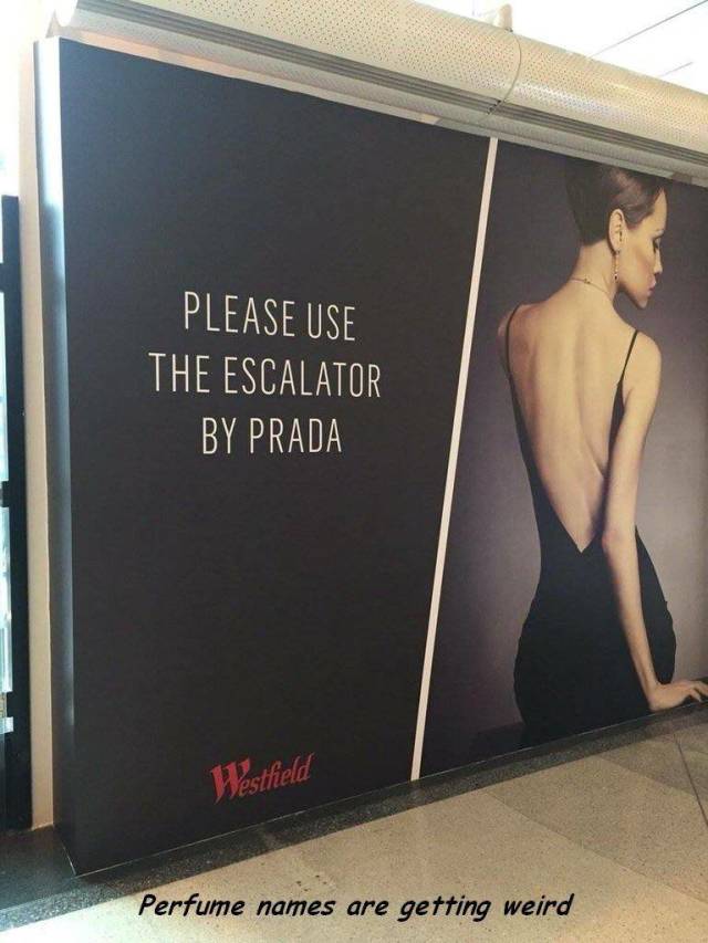 daily picdump 108 pics 4.html - 108 HD Photos | Premium Gallery 2018