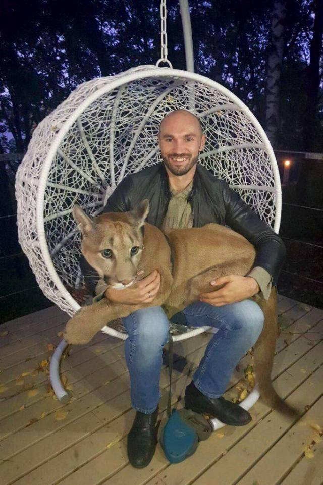 daily picdump 108 pics 4.html - 108 HD Photos | Premium Gallery 2018