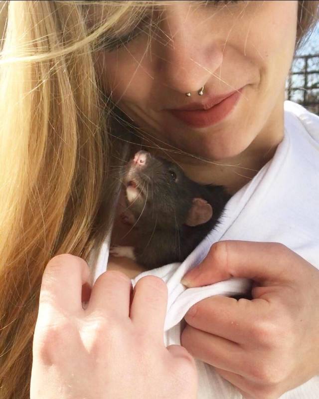 daily picdump 108 pics 4.html - 108 HD Photos | Premium Gallery 2018