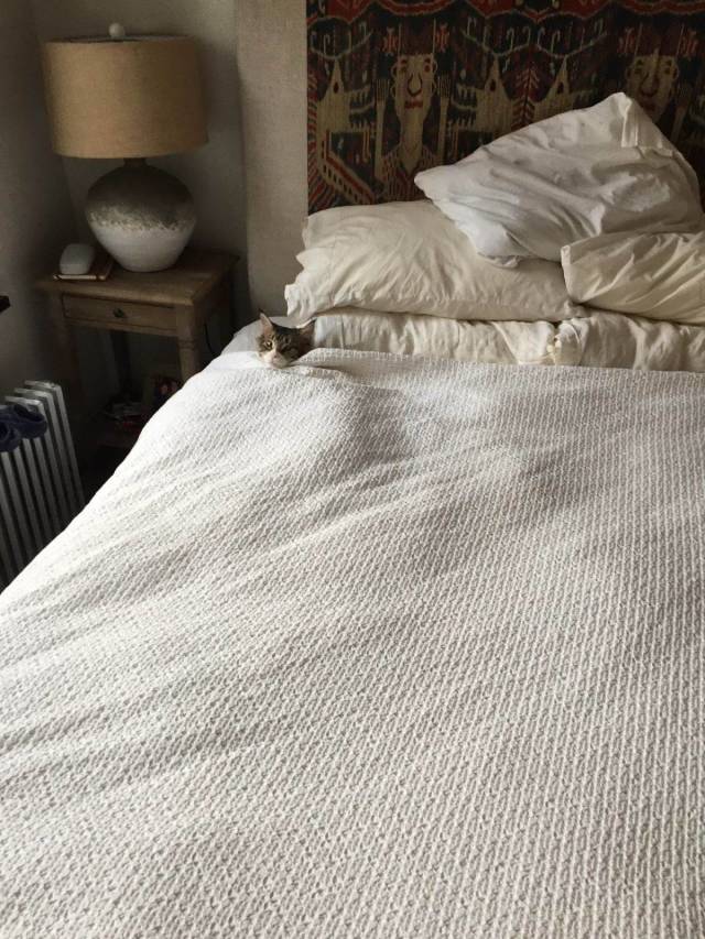 daily picdump 108 pics 4.html - 108 HD Photos | Premium Gallery 2018