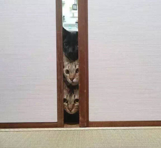 First Time Is Always The Sweetest