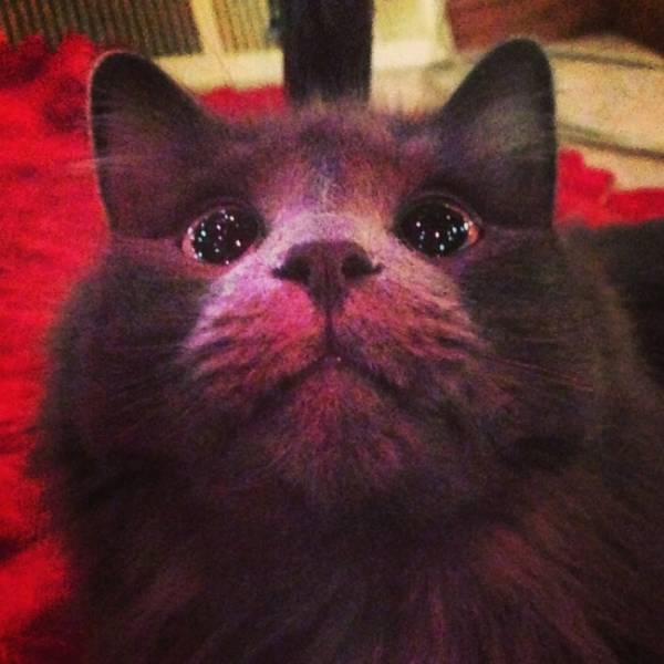 First Time Is Always The Sweetest