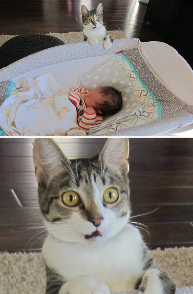 First Time Is Always The Sweetest