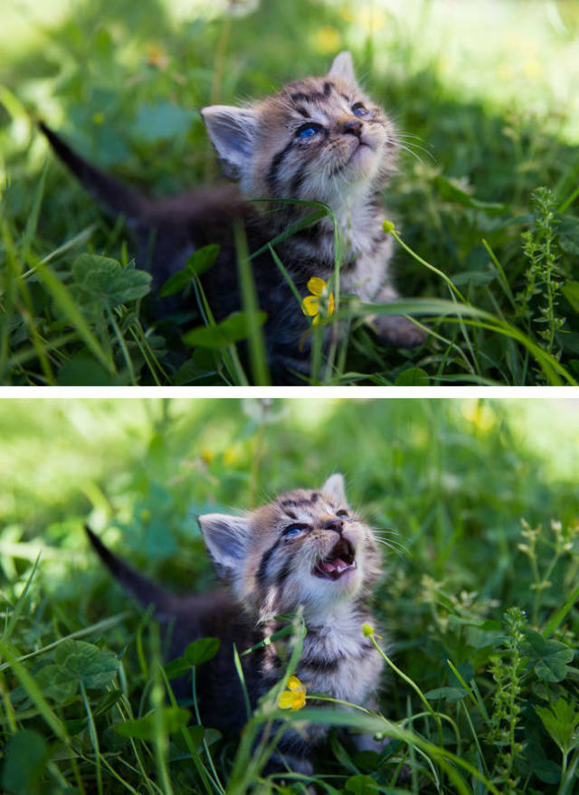 First Time Is Always The Sweetest