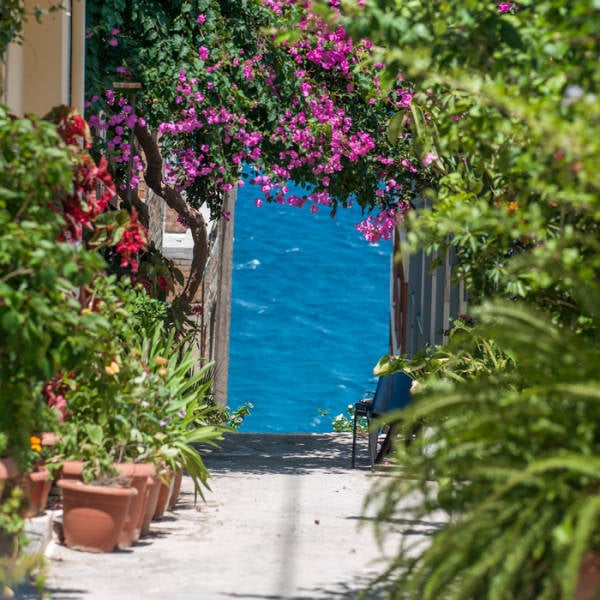 top 250 morning pics of the year 2018.html - 1 HD Photos | Premium Gallery 2018