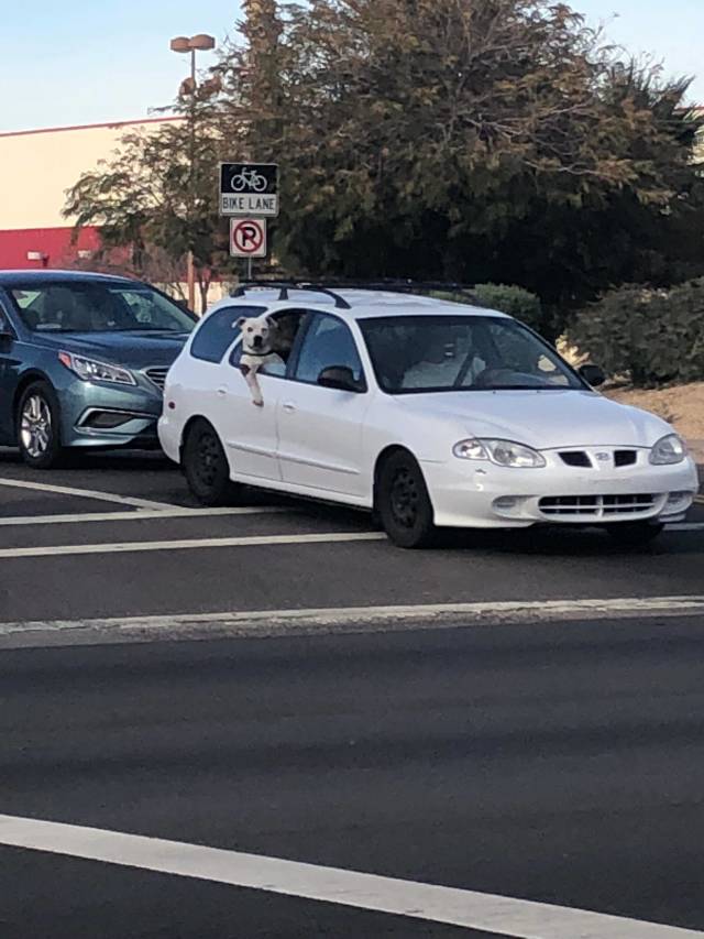 morning picdump 54 pics 3.html - 54 HD Photos | Premium Gallery 2018