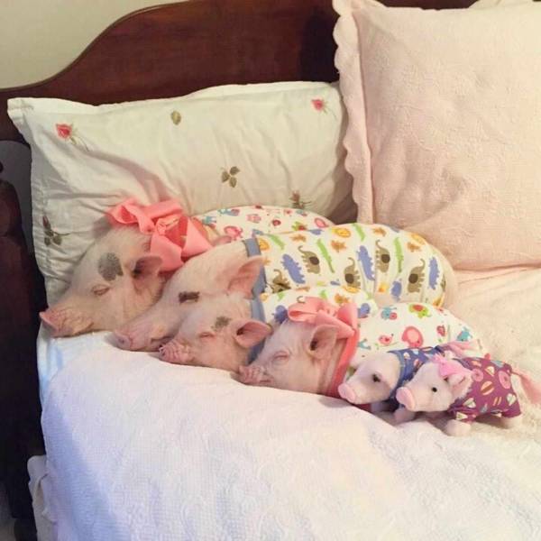 daily picdump 98 pics 46.html - 98 HD Photos | Premium Gallery 2018