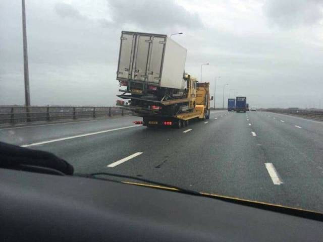 daily picdump 98 pics 46.html - 98 HD Photos | Premium Gallery 2018