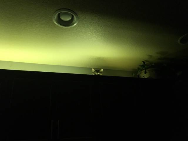 daily picdump 98 pics 46.html - 98 HD Photos | Premium Gallery 2018