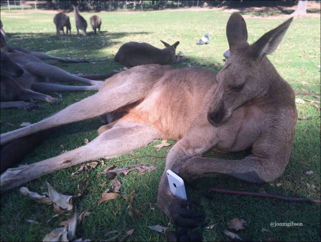 daily picdump 98 pics 46.html - 98 HD Photos | Premium Gallery 2018