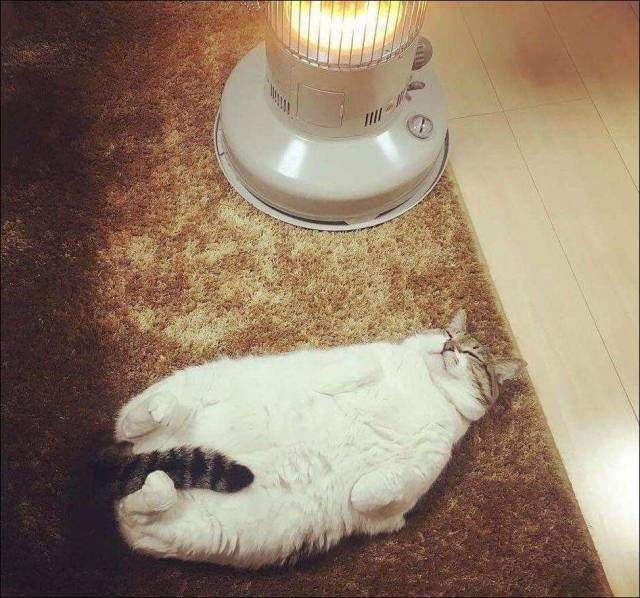 daily picdump 98 pics 46.html - 98 HD Photos | Premium Gallery 2018