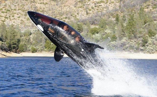 daily picdump 98 pics 46.html - 98 HD Photos | Premium Gallery 2018