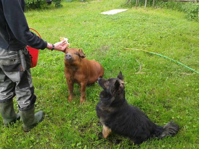 daily picdump 98 pics 46.html - 98 HD Photos | Premium Gallery 2018