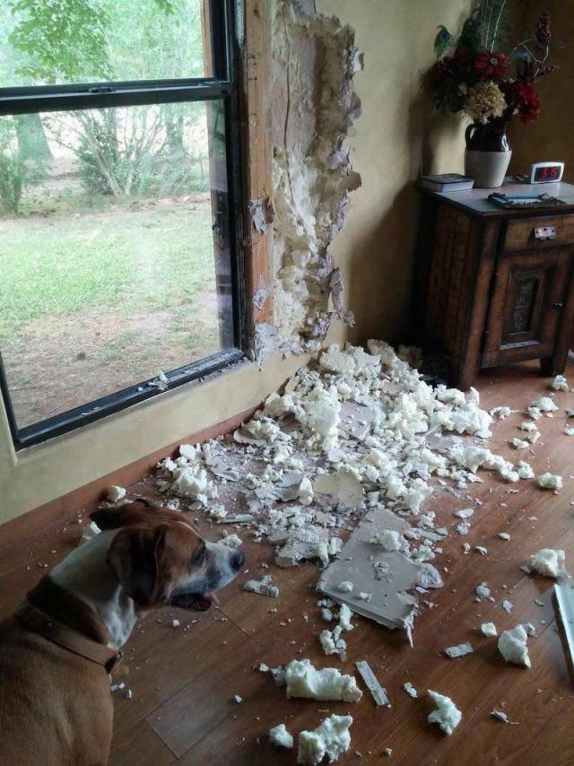 daily picdump 98 pics 46.html - 98 HD Photos | Premium Gallery 2018