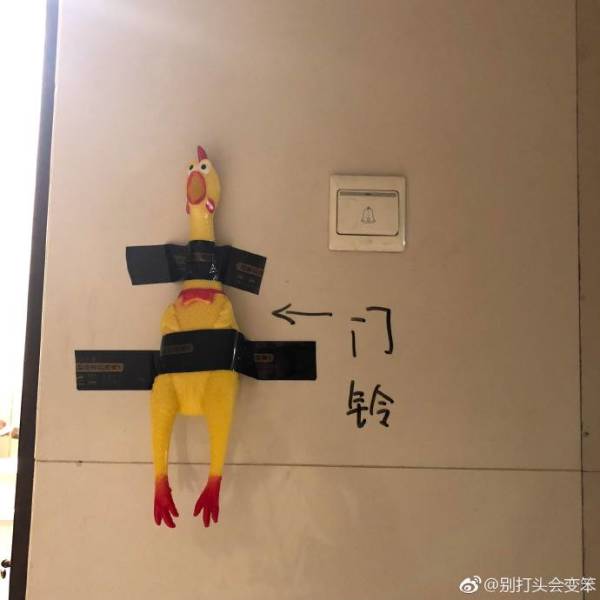 funny picdump 51 pics 7.html - 51 HD Photos | Premium Gallery 2018