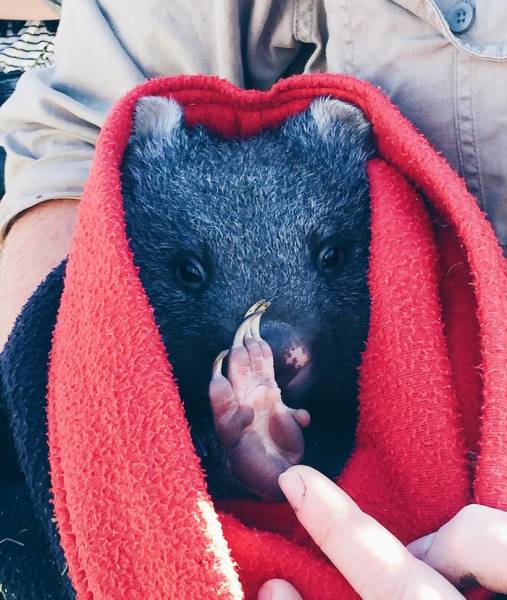 Daily Picdump [WEEKEND EDITION]