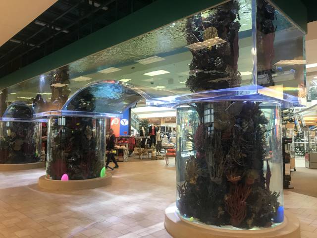 daily picdump weekend edition 52 pics 17.html - 52 HD Photos | Premium Gallery 2018