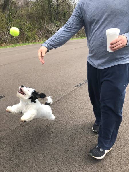 daily picdump weekend edition 52 pics 17.html - 52 HD Photos | Premium Gallery 2018