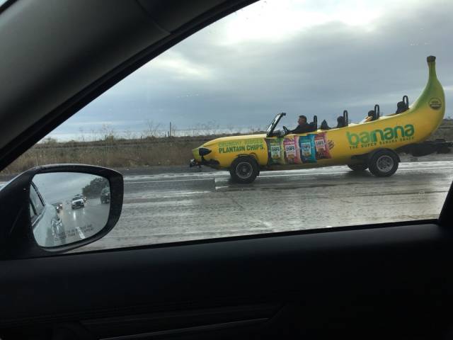 daily picdump weekend edition 52 pics 17.html - 52 HD Photos | Premium Gallery 2018