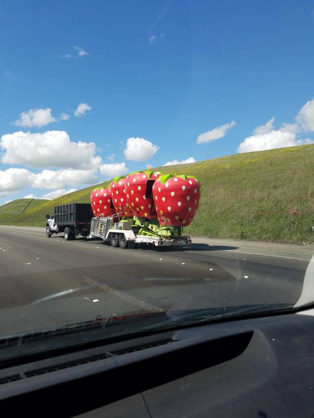 daily picdump weekend edition 52 pics 17.html - 52 HD Photos | Premium Gallery 2018