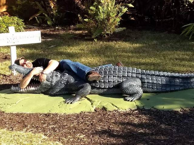 daily picdump 101 pics 51.html - 101 HD Photos | Premium Gallery 2018