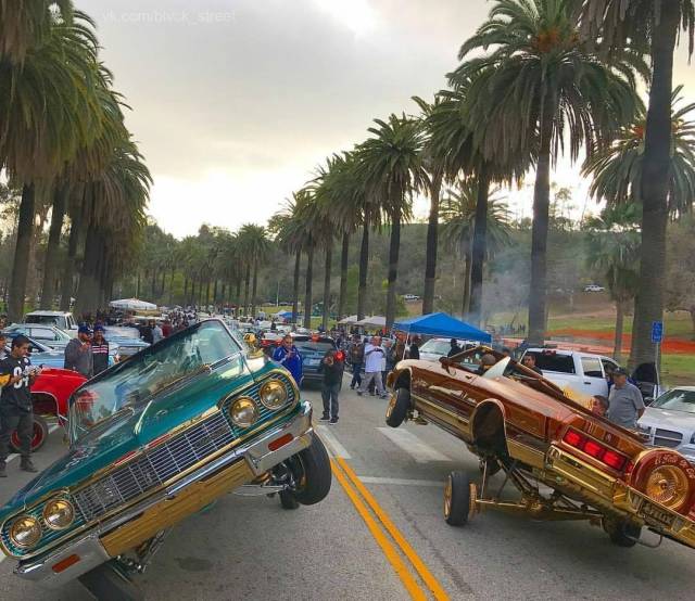 daily picdump 101 pics 51.html - 101 HD Photos | Premium Gallery 2018