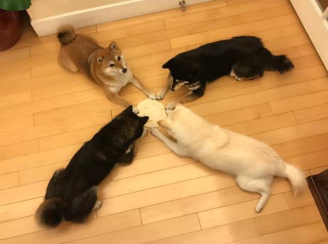 daily picdump 101 pics 51.html - 101 HD Photos | Premium Gallery 2018