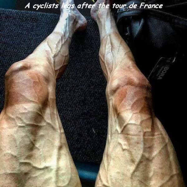 daily picdump 101 pics 51.html - 101 HD Photos | Premium Gallery 2018