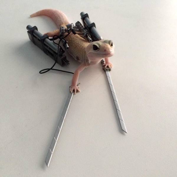 daily picdump 101 pics 51.html - 101 HD Photos | Premium Gallery 2018