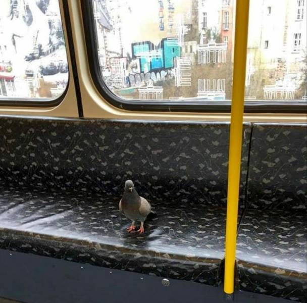 daily picdump 101 pics 51.html - 101 HD Photos | Premium Gallery 2018