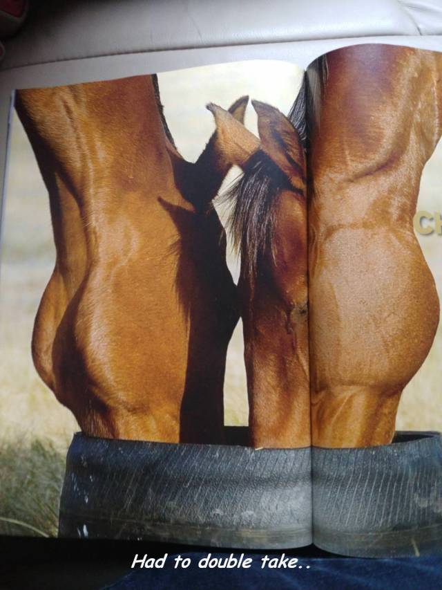 daily picdump 101 pics 51.html - 101 HD Photos | Premium Gallery 2018