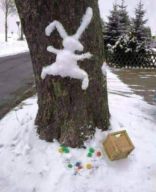 daily picdump 101 pics 51.html - 101 HD Photos | Premium Gallery 2018